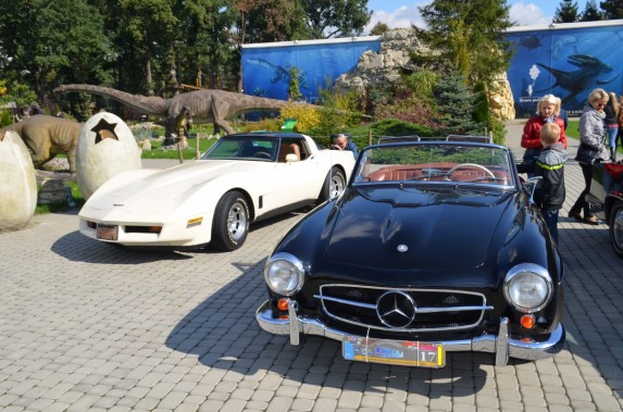 Mercedes Benz 190 SL (24)