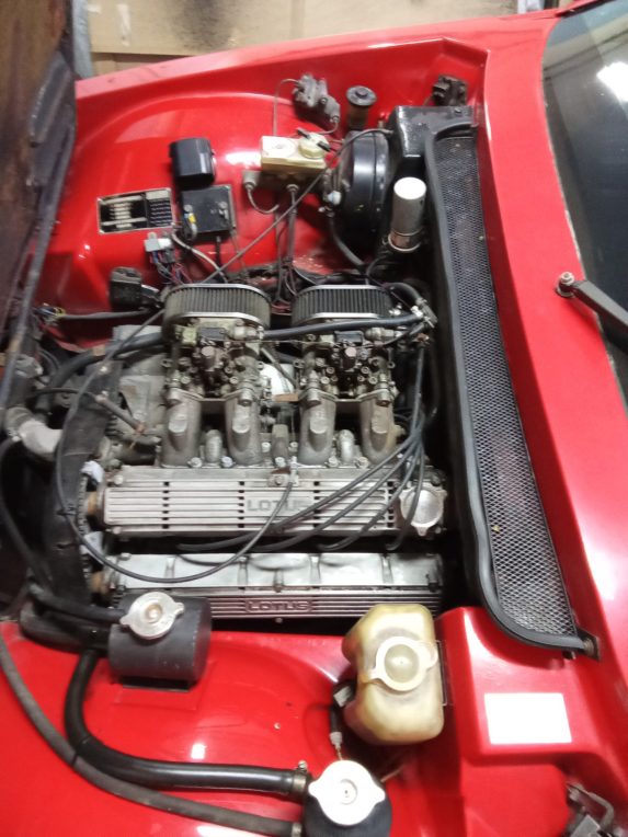 Lotus excel