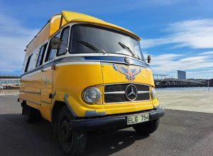 Mercedes 319