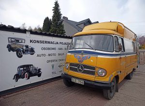Mercedes 319